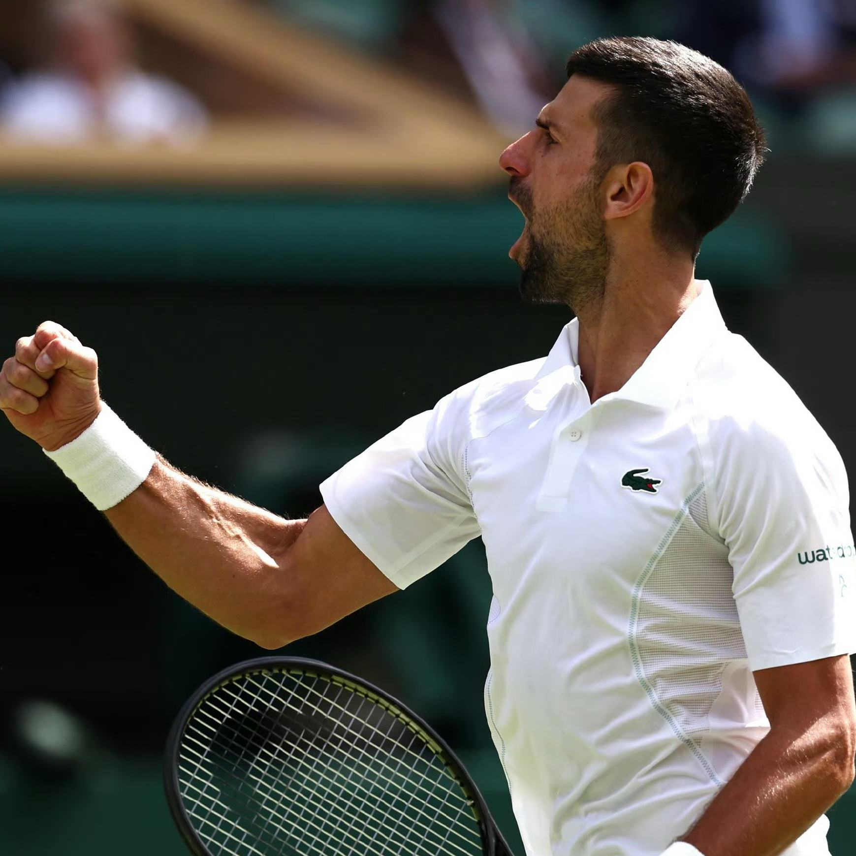 开云体育-温网翻盘ATP总决赛，德约科维奇关键制胜的简单介绍