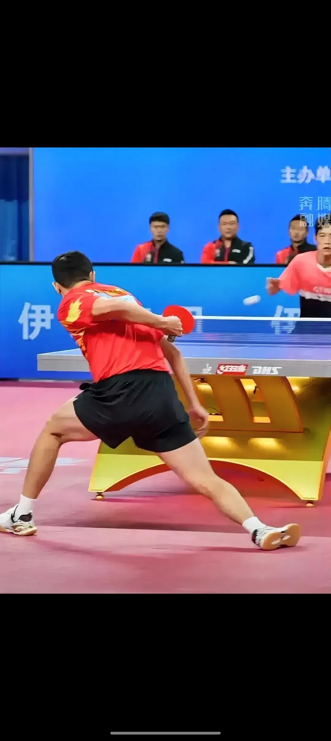 奥地利队险胜日本队，许昕刷新纪录的简单介绍